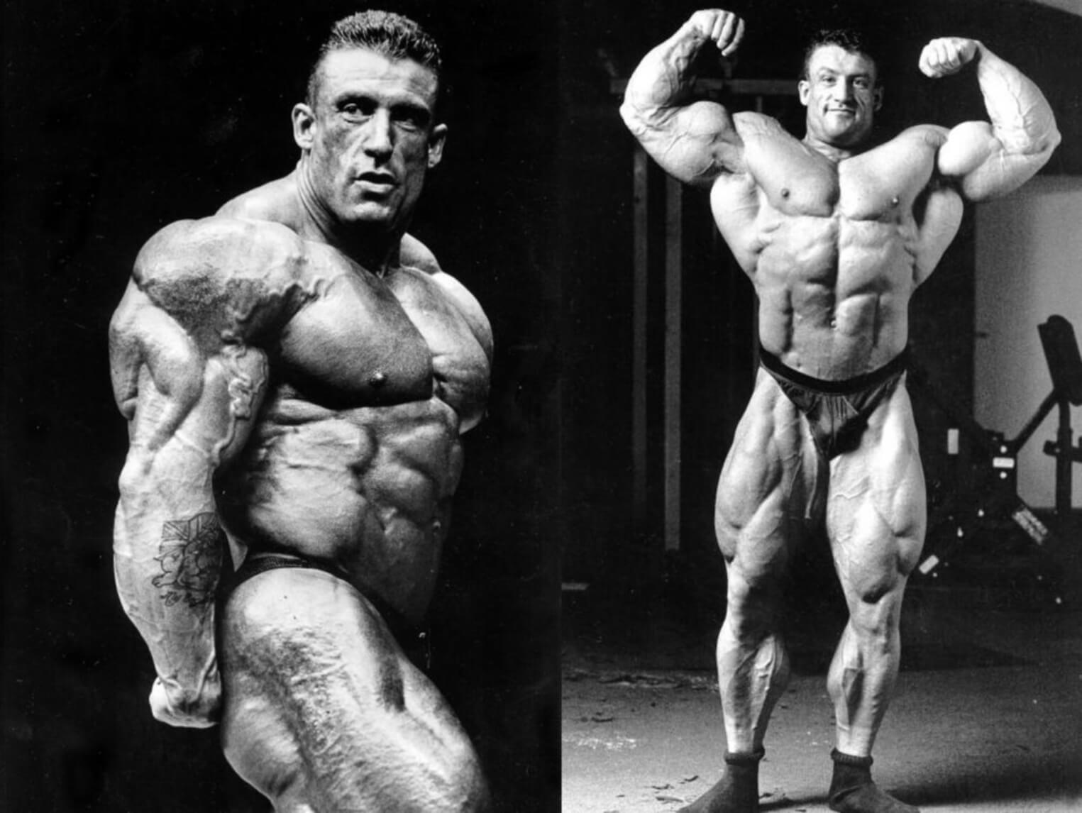 dorian-yates-heavy-duty