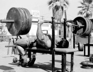 korte objemovka IRON-BODY kulturistika fitness trojboj zdravie
