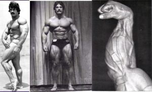 mike mentzer heavy duty HIT IRON-BODY kulturistika fitness trojboj zdravie