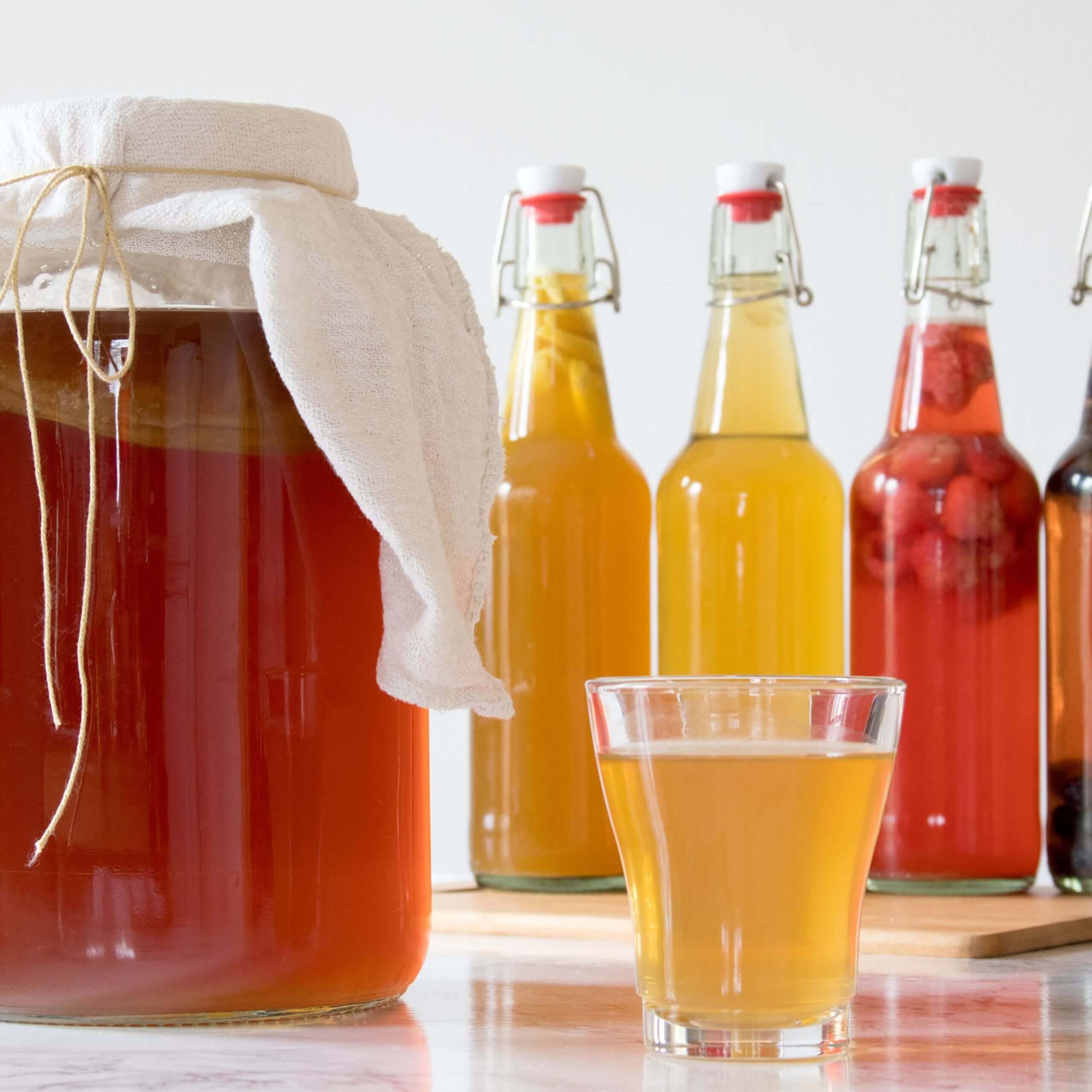 kombucha imunita tradicna cinska medicina IRON-BODY kulturistika fitness trojboj zdravie