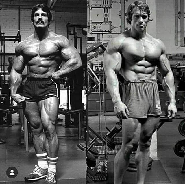 arnold-mike-olympia-1980