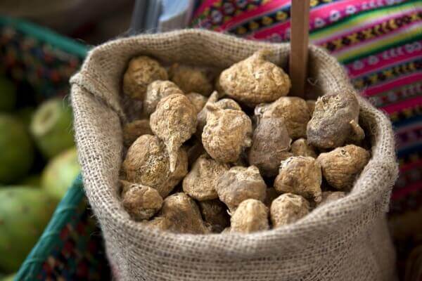 Maca Peruánska